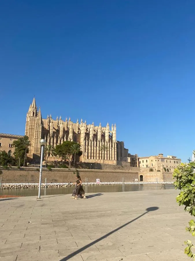 Marina Dor - Cala Egos- Sunny Ground Floor Apartment With Large Garden Cala d'Or  Cala d'Or (Mallorca)